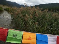 -泸沽湖国家级风景名胜区走婚桥