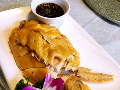 -碧丽宫大酒店(召稼楼店)
