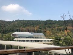 -东钱湖旅游度假区