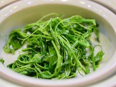 -澳珀食堂