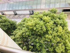 -中信五牛城酒店式公寓