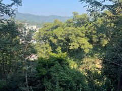 -火炉山森林公园