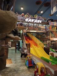 -卡通尼·Safari非洲探索乐园·生日会(金桥国际商业广场店)