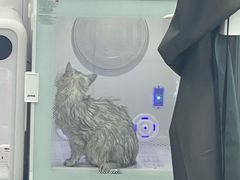 -爱洗澡的猫(望京店)