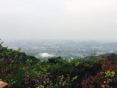 -杭州半山国家森林公园