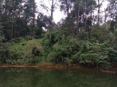 -保利石象湖景区