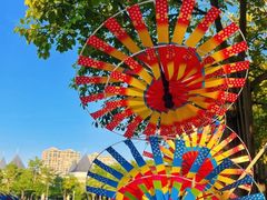 -南宁市凤岭儿童公园