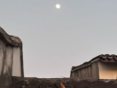 -郑远元专业修脚房·按摩·肉刺·灰指甲(郭新东路店)