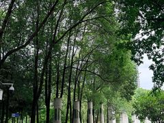 -沙河三洞古桥公园