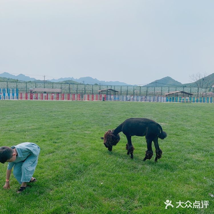 鞍山老院子动物园