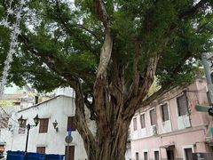 -下环街市熟食中心