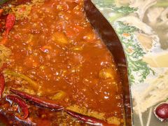 -阳阳老火锅(小南门店)