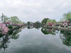 -无锡蠡湖国家湿地公园-蠡园