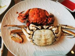 -津门小红坊海鲜·海胆饺子(滨海开发区店)