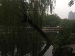 -迎泽公园