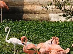 -哈尔滨北方森林动物园