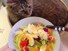 -碧云国际社区·晓园