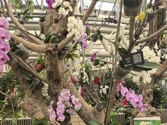 -石家庄市植物园