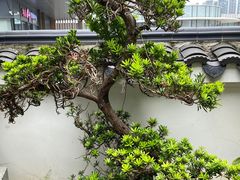 -道南書院·私房菜·早午茶·茶馆