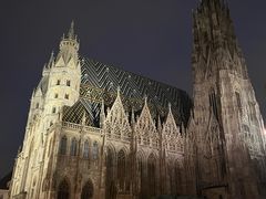 -斯蒂芬主教座堂(Stephansdom)
