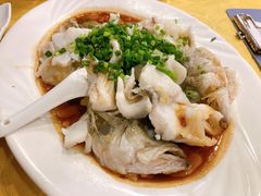 特色香葱淋鲈鱼-粤·向群饭店(泮塘路店)