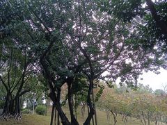 -广州雕塑公园