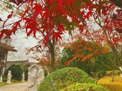 -茅山东方盐湖城景区
