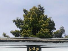-蒋氏故居