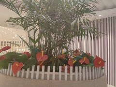 -LANN I 蘭 SPA(陆家嘴中心店)