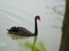 -苏州上方山国家森林公园