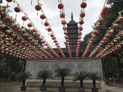 -常熟方塔园