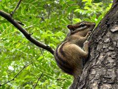 -长春市南湖公园