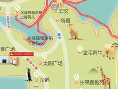 -上海野生动物园