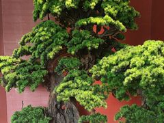 -阿伟海鲜楼·福建菜(延寿店)