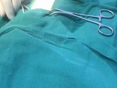 -美美宠物诊疗中心·异宠·骨科(滨江东信分院)