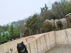 -东方熊牧场