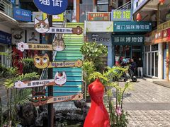 -猫咪博物馆(顶澳仔猫街店)