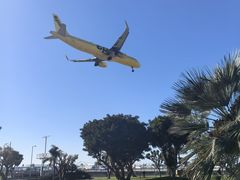 -In-N-Out Burger(LAX)