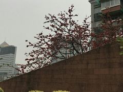 -南越王博物院(王宫展区)