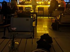 -Mx.cocktail bar