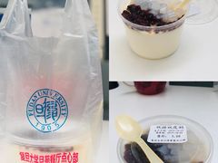 双皮奶-复旦大学江湾校区食堂
