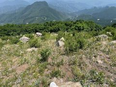 -白草畔自然风景区