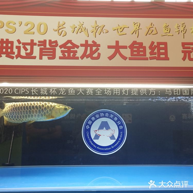 宠物展也太好吸猫撸狗了！[亲亲][亲亲][亲亲]
