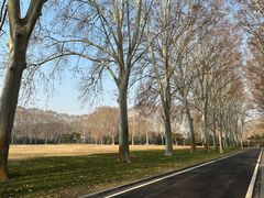 -河南省黄河迎宾馆