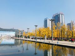 -百林公园-两江幸福广场