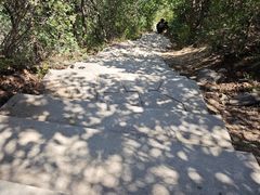 -北京西山国家森林公园