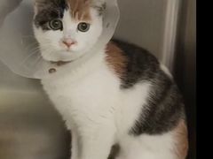 -萌兽医馆·犬猫专科·眼科中心·宠物医院(朝阳门分院)