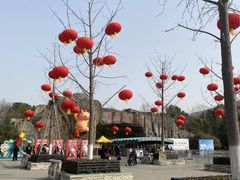 -合肥野生动物园