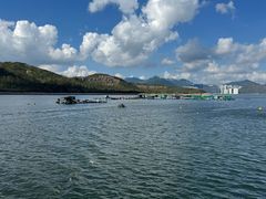 -南丫岛