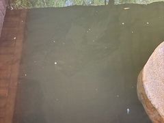-昆明柏联SPA温泉